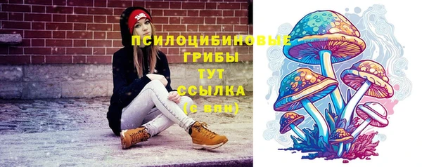 MESCALINE Магадан