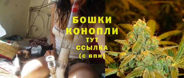 спайс Магас